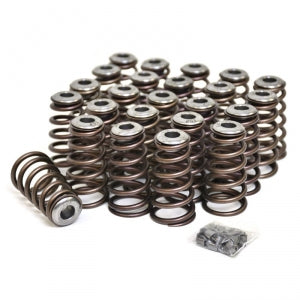 XDP Performance Valve Springs & Retainer Set XD313