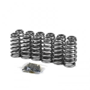 XDP Performance Valve Springs & Retainer Set XD389